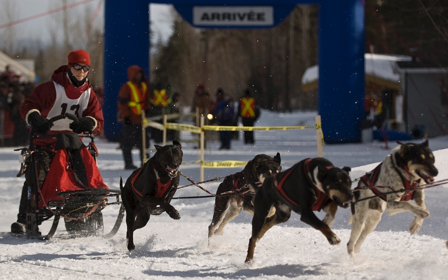 2009-03-14, Competition de traineaux a chiens au Bec-scie (112636).jpg - Au départ